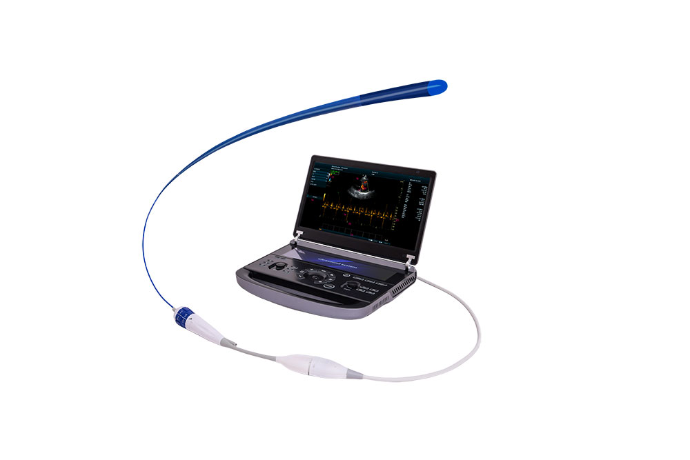 Interventional Imaging Catheter & Total Solution